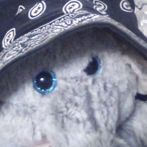 Meet your Posher, Patrick